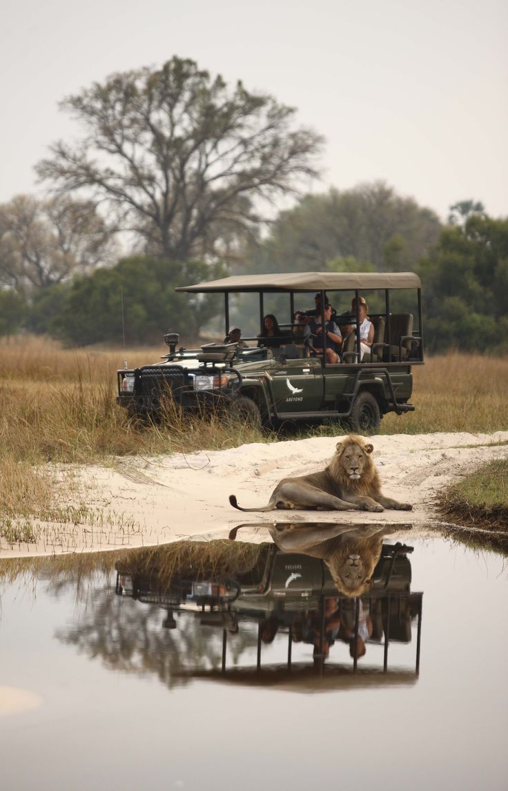 Wild Experiences_ Luxury Travel – Andbeyond Sandibe Okavango Delta